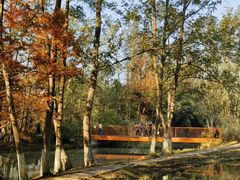 -桤木河湿地公园