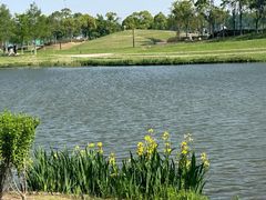 -春花秋色城市公园