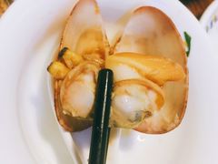 -拾下卜卜贝•海鲜火锅