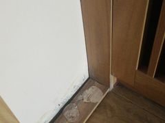 -秦皇岛阿尔卡迪亚滨海度假酒店