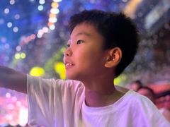 -广州长隆国际大马戏