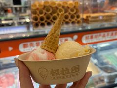 -极拉图·现制冰淇淋(大卫城店)