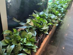 -一澜江宴·江景地标楚菜(江滩公园店)