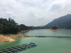 -广州市流溪河国家森林公园