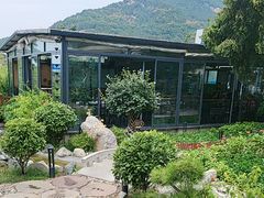 -蘇河湾·新鲁菜·泰山宴(泰山店)