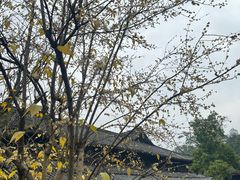 -峨眉山报国寺