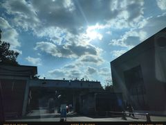 -四川大学博物馆