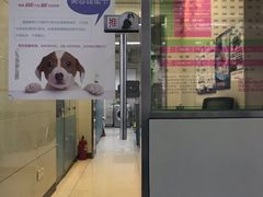 -北京观赏动物医院·24小时大型综合·猫专科·异宠专科