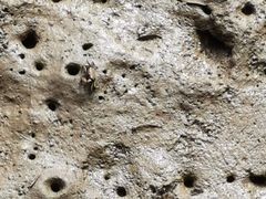 -东寨港红树林旅游区