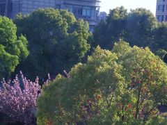 -昆山城市生态森林公园