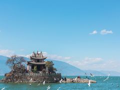 -小普陀