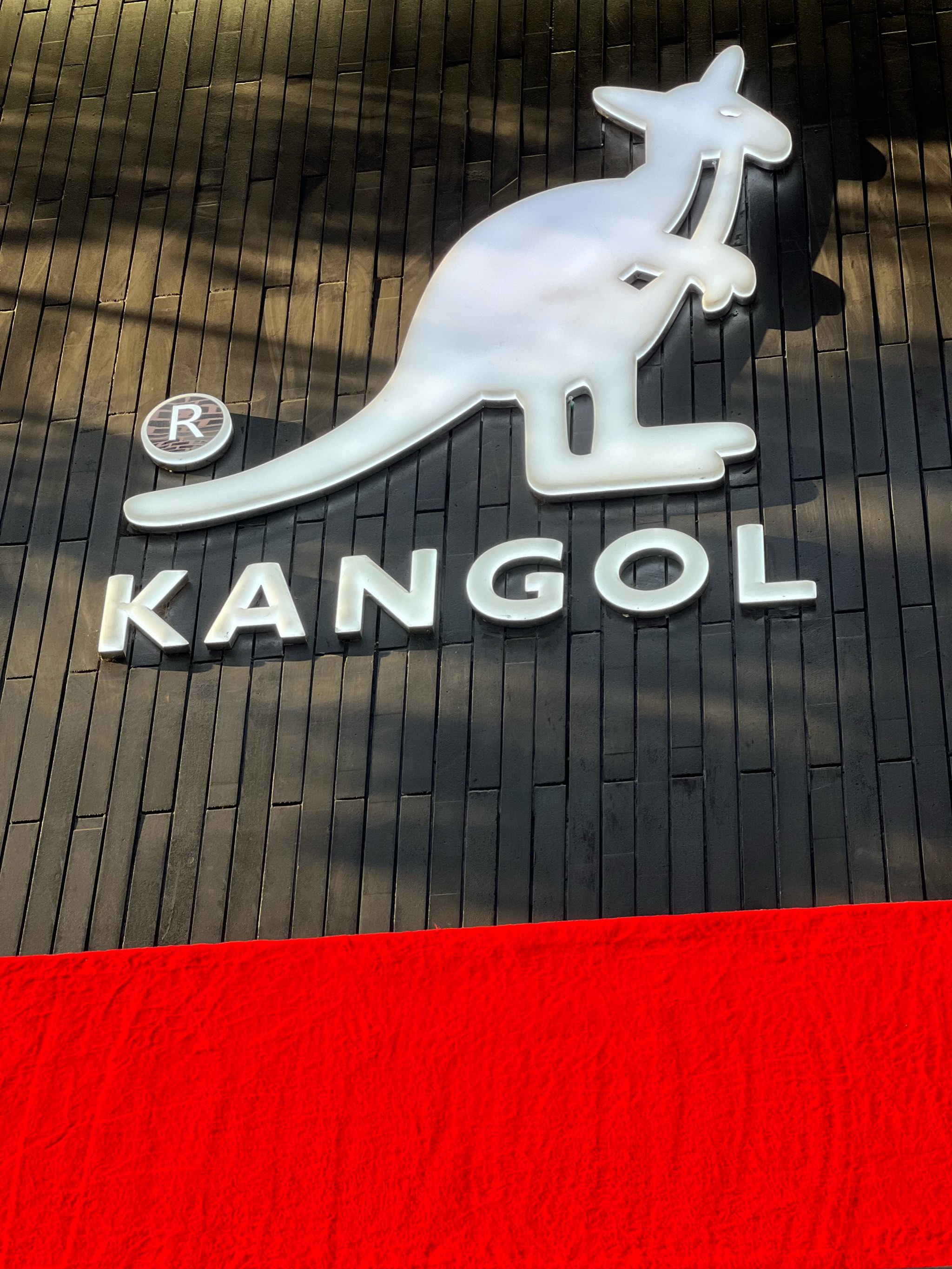 kangaroorat图片