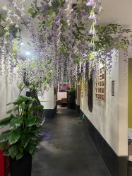 -盘子女人坊生日照·摄影馆(华强店)