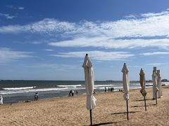 -日照海滨国家森林公园