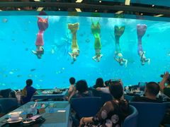 -瑞德姆美人鱼海底演艺主题餐厅(亚龙湾店)