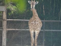 -泉州海丝野生动物世界