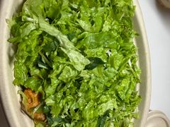 -油梨树AVOCADO TREE(望京店)
