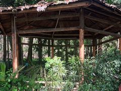 -揭东万竹园旅游景区