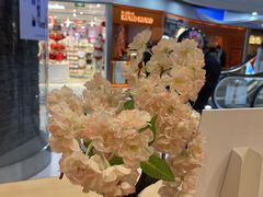 -吉野家(上海美罗城店)