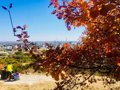-白水寺森林公园