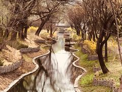 -北坞公园