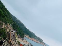 -广东惠东海龟国家级自然保护区