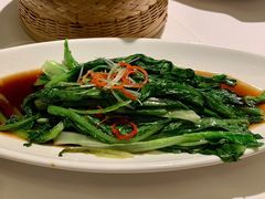 广式油麦菜-東大方(湖州白鹭迎店)