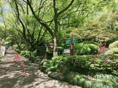 -杭州半山国家森林公园