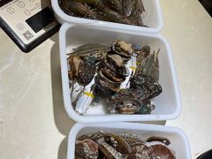-蓝珊甄选海鲜自助·火锅大排档(近阿那亚店)
