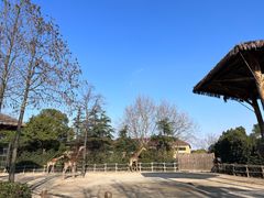 -上海野生动物园