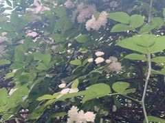 -成飞公园