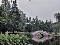 -洋湖国家湿地公园