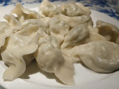 -东方饺子王臻味餐厅(新嘉坡城店)