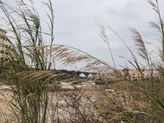 -金汤湾海水温泉度假酒店