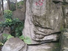 android_upload_pic-船政文化景区-罗星塔公园