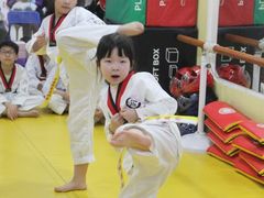 -浛道跆拳道·拳击·体适能