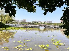 -济南大明湖景区