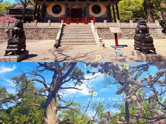 -晋祠博物馆