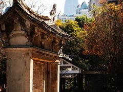-墨池公园