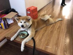 -YCHL Studios健身工作室(市二宫店)