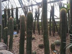 -南山植物园