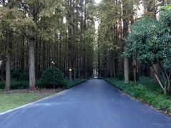 -上海怡沁园度假酒店