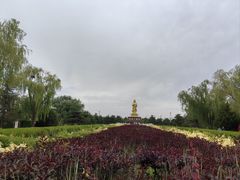 -凉州白塔寺景区