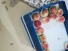 -老袁家蜜桃农场·阳山水蜜桃