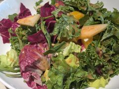 果蔬脆爽沙拉-悦融琥珀·京鲁菜·海味珍品(西单店)