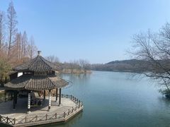 -杭州植物园