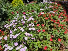 -庐山风景区花径公园