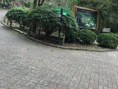 -汉拿树木园