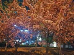 -好世界商业广场(北京国际中心店)