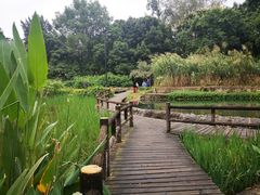 -成都市活水公园